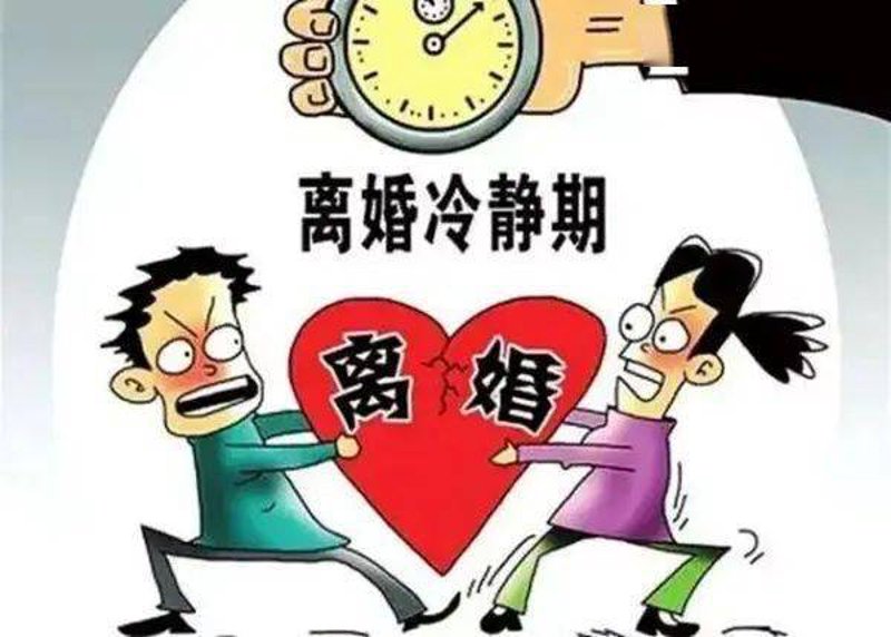 法律护航：企业成长的坚实盾牌